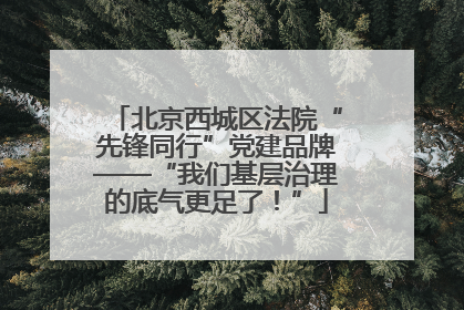北京西城区法院“先锋同行”党建品牌——“我们基层治理的底气更足了！”
