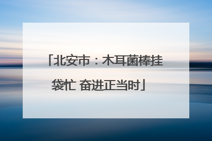 北安市：木耳菌棒挂袋忙 奋进正当时