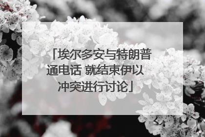 埃尔多安与特朗普通电话 就结束伊以冲突进行讨论