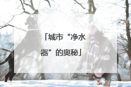 城市“净水器”的奥秘