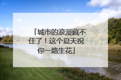 城市的浪漫藏不住了！这个夏天祝你一路生花