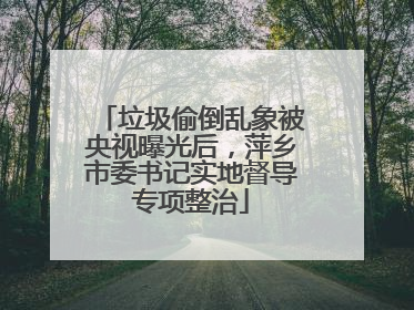 垃圾偷倒乱象被央视曝光后，萍乡市委书记实地督导专项整治