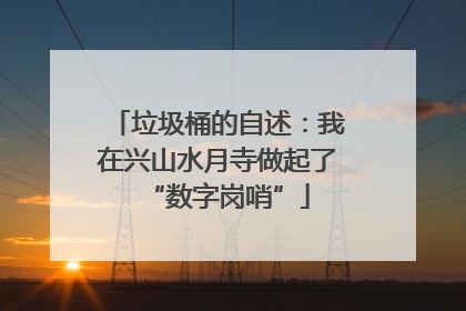 垃圾桶的自述：我在兴山水月寺做起了“数字岗哨”