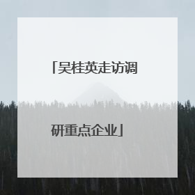吴桂英走访调研重点企业