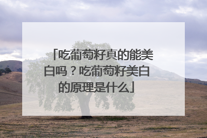 吃葡萄籽真的能美白吗？吃葡萄籽美白的原理是什么