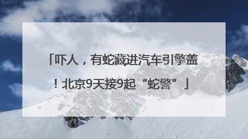 吓人，有蛇藏进汽车引擎盖！北京9天接9起“蛇警”