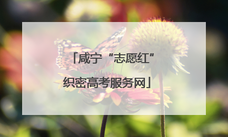 咸宁“志愿红”织密高考服务网