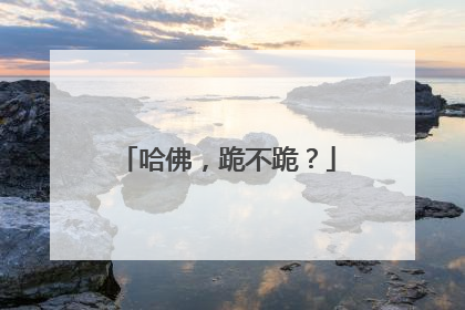 哈佛，跪不跪？
