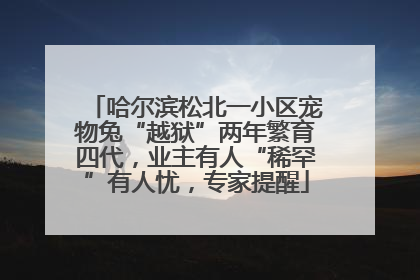 哈尔滨松北一小区宠物兔“越狱”两年繁育四代，业主有人“稀罕”有人忧，专家提醒