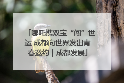 哪吒携双宝“闯”世运 成都向世界发出青春邀约｜成都发展