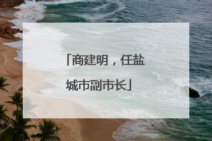 商建明，任盐城市副市长