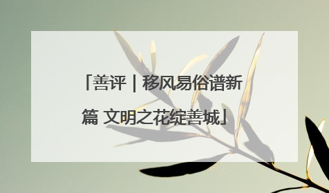 善评｜移风易俗谱新篇 文明之花绽善城