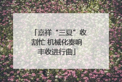 嘉祥“三夏”收割忙 机械化奏响丰收进行曲