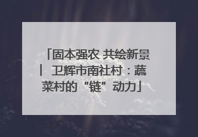 固本强农 共绘新景 ︳卫辉市南社村：蔬菜村的“链”动力