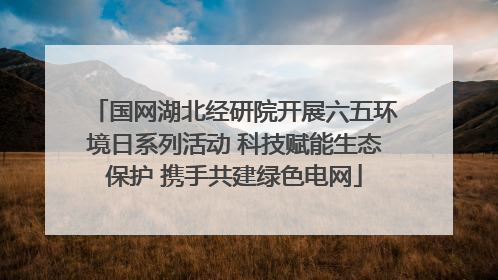 国网湖北经研院开展六五环境日系列活动 科技赋能生态保护 携手共建绿色电网