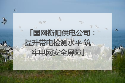 国网衡阳供电公司：提升带电检测水平 筑牢电网安全屏障