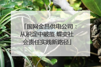国网金昌供电公司：从积淀中破茧 蝶变社会责任实践新路径