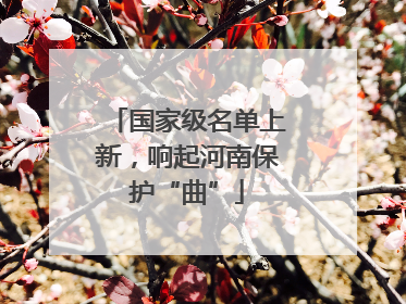 国家级名单上新，响起河南保护“曲”