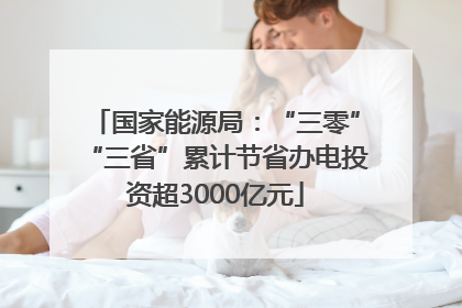 国家能源局：“三零”“三省”累计节省办电投资超3000亿元