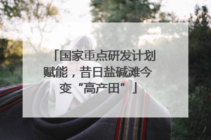 国家重点研发计划赋能，昔日盐碱滩今变“高产田”