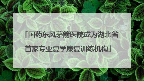 国药东风茅箭医院成为湖北省首家专业复学康复训练机构