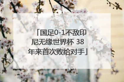 国足0-1不敌印尼无缘世界杯 38年来首次败给对手