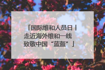 国际维和人员日丨走近海外维和一线 致敬中国“蓝盔”