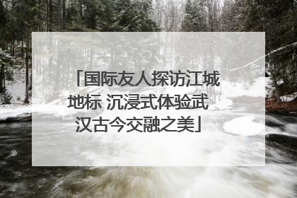 国际友人探访江城地标 沉浸式体验武汉古今交融之美