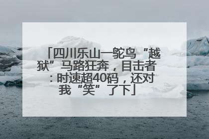 四川乐山一鸵鸟“越狱”马路狂奔，目击者：时速超40码，还对我“笑”了下
