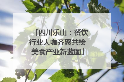 四川乐山：餐饮行业大咖齐聚共绘美食产业新蓝图
