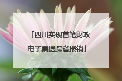 四川实现首笔财政电子票据跨省报销