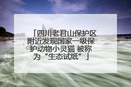 四川老君山保护区附近发现国家一级保护动物小灵猫 被称为“生态试纸”