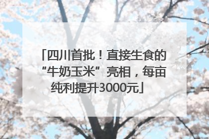 四川首批！直接生食的“牛奶玉米”亮相，每亩纯利提升3000元