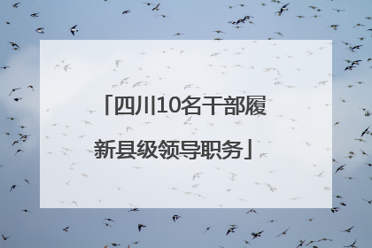 四川10名干部履新县级领导职务