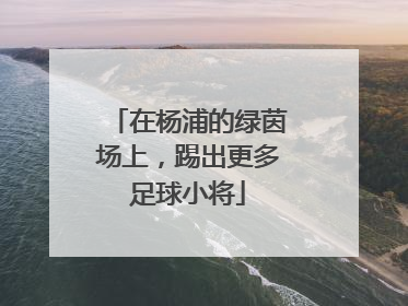 在杨浦的绿茵场上，踢出更多足球小将