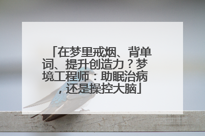 在梦里戒烟、背单词、提升创造力？梦境工程师：助眠治病，还是操控大脑