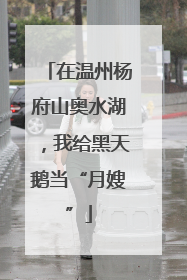 在温州杨府山奥水湖，我给黑天鹅当“月嫂”