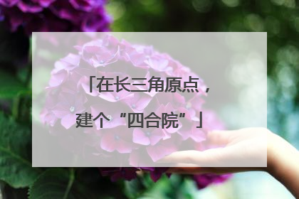 在长三角原点，建个“四合院”