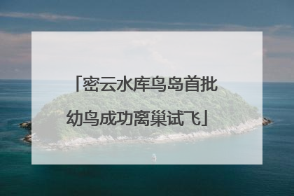 密云水库鸟岛首批幼鸟成功离巢试飞