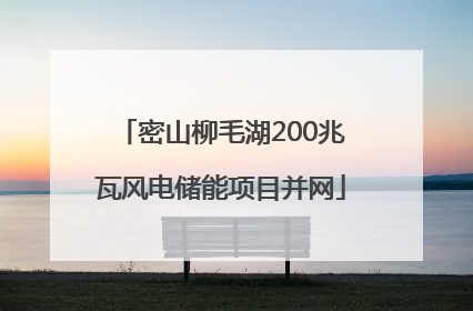 密山柳毛湖200兆瓦风电储能项目并网