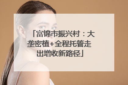 富锦市振兴村：大垄密植+全程托管走出增收新路径