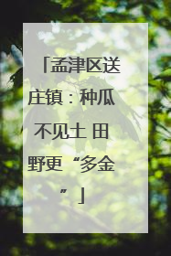 孟津区送庄镇：种瓜不见土 田野更“多金”