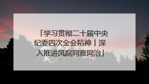 学习贯彻二十届中央纪委四次全会精神丨深入推进风腐同查同治