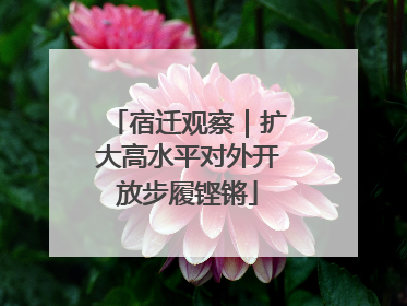 宿迁观察｜扩大高水平对外开放步履铿锵