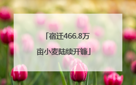 宿迁466.8万亩小麦陆续开镰