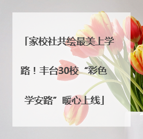 家校社共绘最美上学路！丰台30校“彩色学安路”暖心上线
