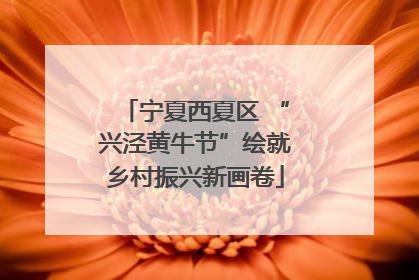 宁夏西夏区 “兴泾黄牛节”绘就乡村振兴新画卷