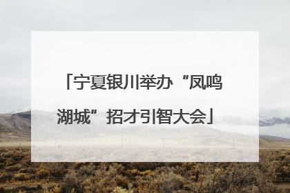 宁夏银川举办“凤鸣湖城”招才引智大会