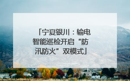 宁夏银川：输电智能巡检开启“防汛防火”双模式