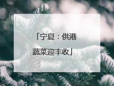 宁夏：供港蔬菜迎丰收